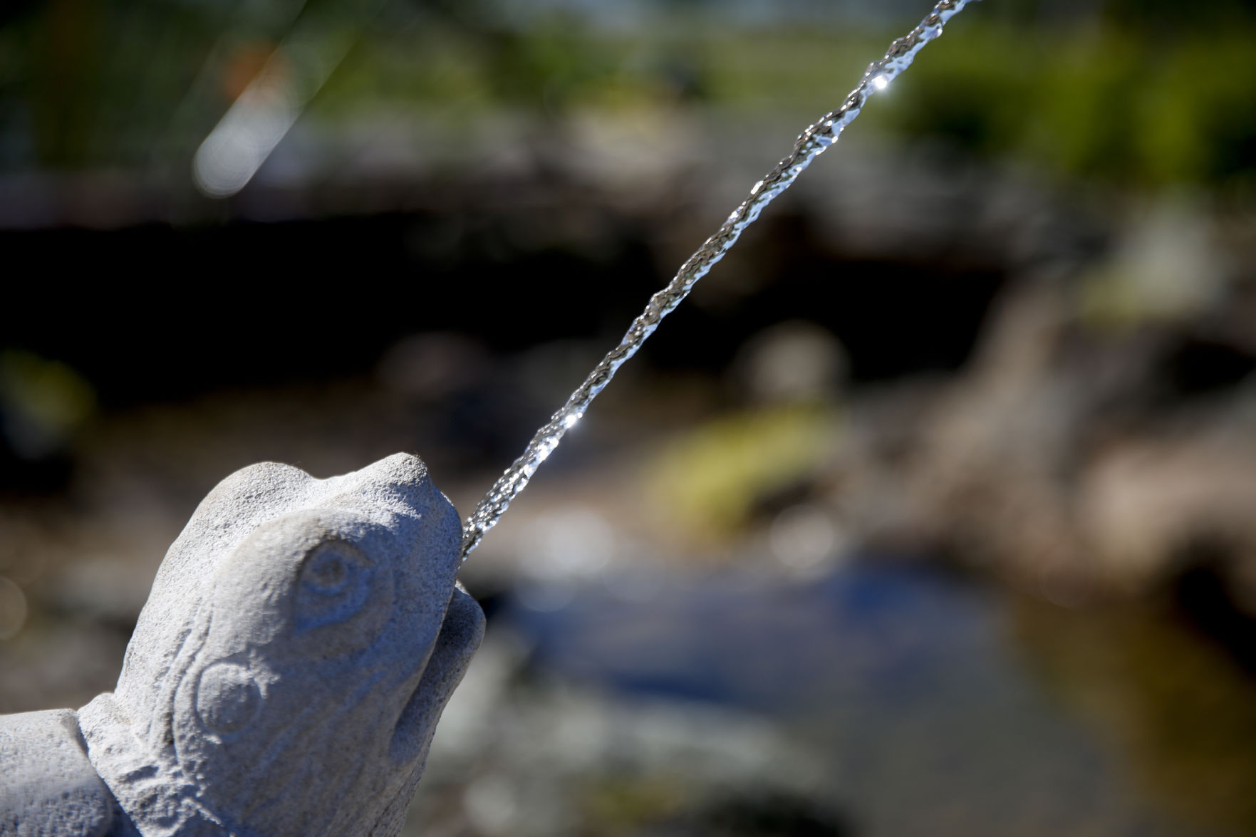 Mosquito Fountains